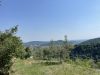 Le passeggiate all’aperto riducono il rischio di ictus e malattie cardiovascolari: le escursioni in montagna sono un toccasana anche per gli anziani
