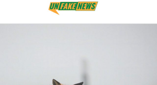 La campagna “Unfakenews” di Legambiente e “Nuova Ecologia” contro le bufale su ambiente e salute: la verità su inceneritori e animali in città
