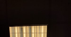 Stop all’aumento dei prezzi per 2,6 milioni di utenti. L’Antitrust a difesa dei consumatori: provvedimenti contro Enel, Eni, Hera, A2A, Edison, Acea ed Engie