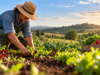 Giornata mondiale dell’alimentazione, FederBio: «Il futuro del cibo passa dall’innovazione agroecologica»